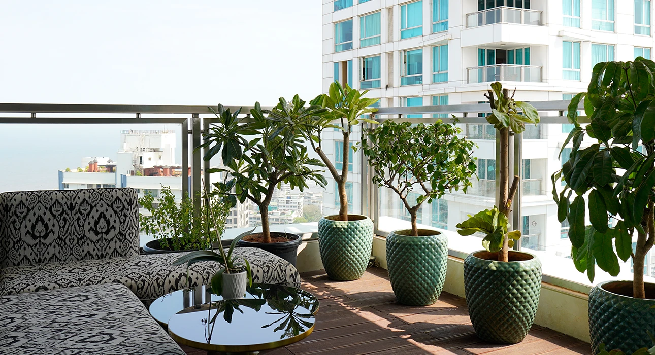 portfolio main thumbnail